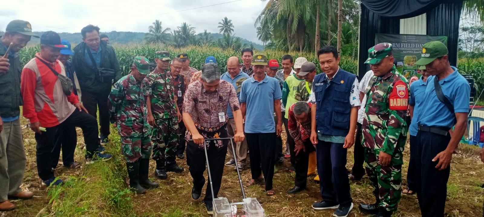 Danramil 10 Bawang Hadiri Farm Field Day dan Sekolah Lapang Tanam Terpadu 2025