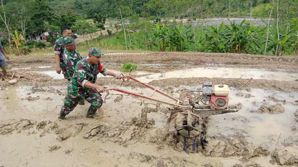 Babinsa Koramil Pagentan Dukung Petani Olah Lahan Demi Ketahanan Pangan