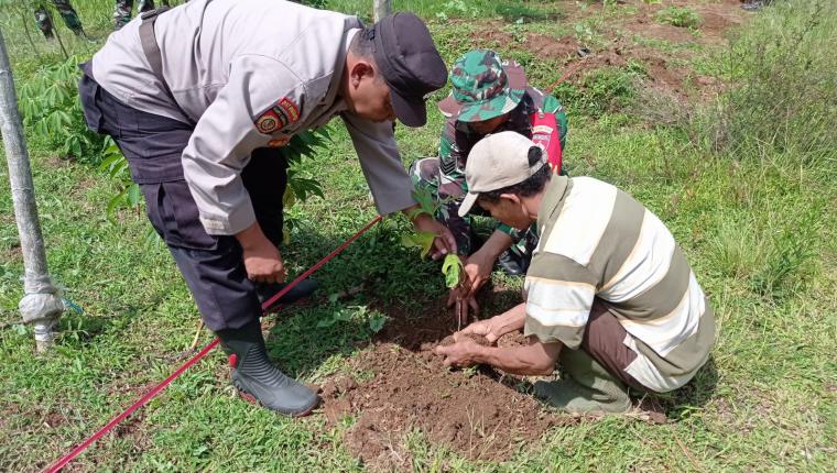 Tanam Pohon di Tengah TMMD Serma Susilo Tinggalkan Warisan Hijau untuk Desa