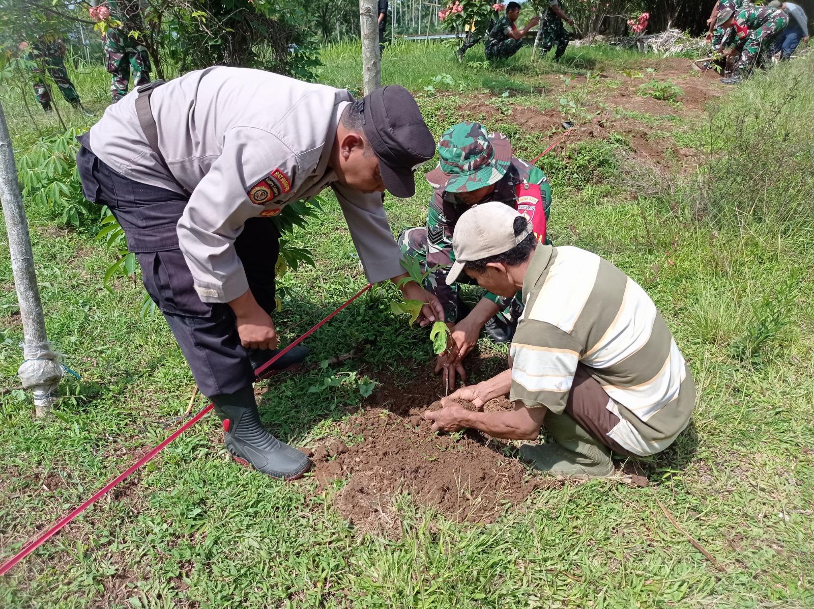 Tanam Pohon di Tengah TMMD Serma Susilo Tinggalkan Warisan Hijau untuk Desa