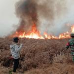 Kebakaran Semak Belukar di Lahan Perhutani Diengkulon TNI-Polri dan Warga Bergerak Padamkan Api