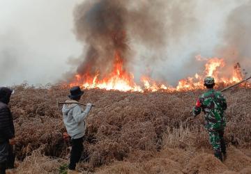 Kebakaran Semak Belukar di Lahan Perhutani Diengkulon TNI-Polri dan Warga Bergerak Padamkan Api