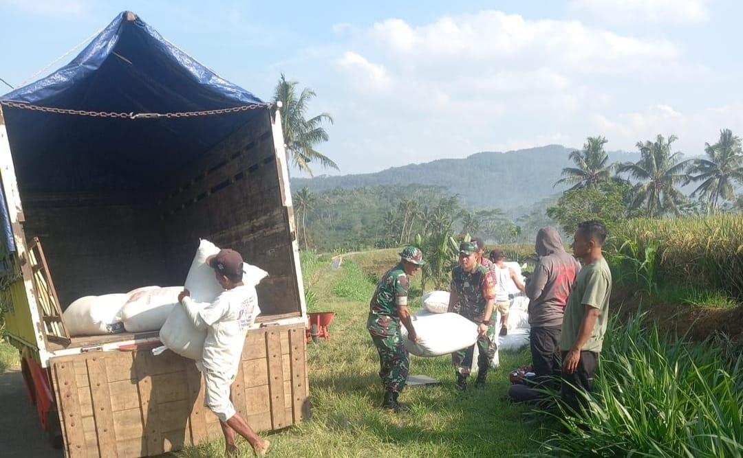 Babinsa Koramil 10 Bawang Bantu Petani Angkut Hasil Panen ke Bulog