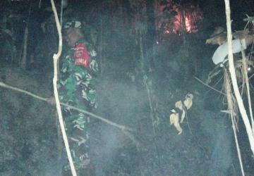 Kebakaran Lahan Pinus Perhutani di Desa Panerusan Wetan Luas Sekitar 1 Hektare