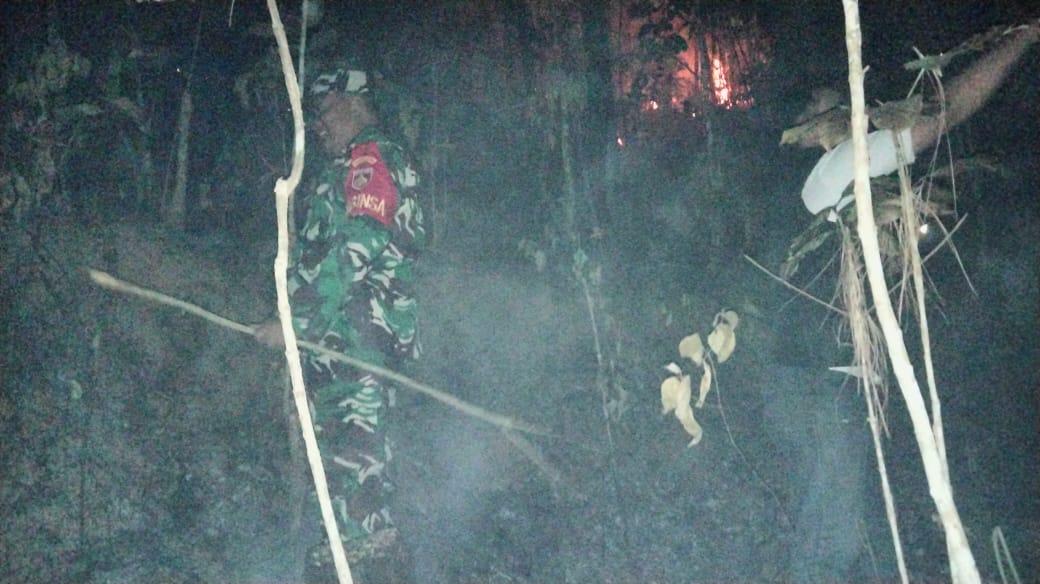 Kebakaran Lahan Pinus Perhutani di Desa Panerusan Wetan Luas Sekitar 1 Hektare